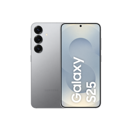 Samsung Galaxy S25 Серебряный